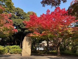 東高円寺駅 徒歩4分 1階の物件内観写真